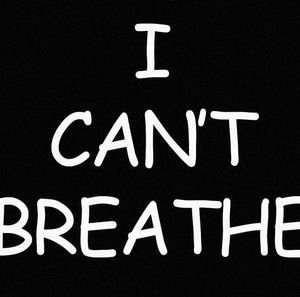 Meet your Posher, Shane